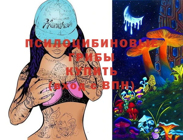 кокс Козельск
