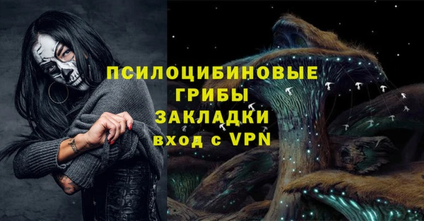 apvp Кинешма